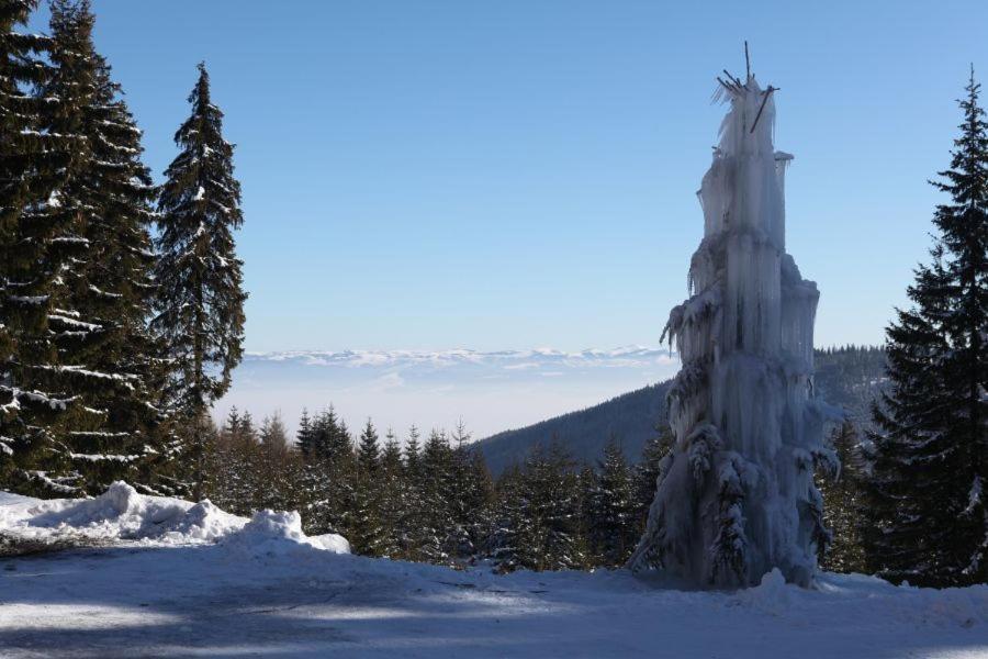 Hotel Ozon Harghita-Băi Dış mekan fotoğraf