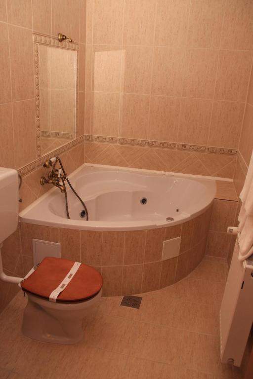 Hotel Ozon Harghita-Băi Oda fotoğraf